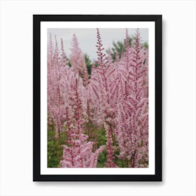 Pretty Pink Floral Art Print