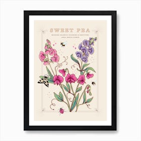 April Birth Flower Sweet Pea On Cream Art Print