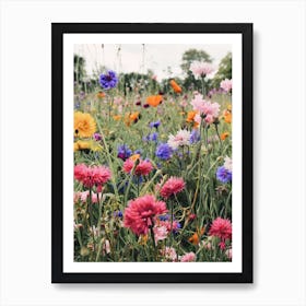 Wildflower Meadow Art Print