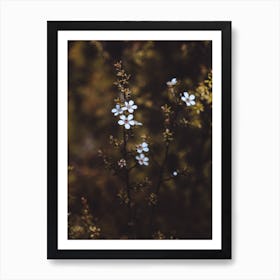 White Flowers against a dark and moody backdrop Art Print