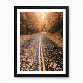 Autumn Leaves At Smoky Mountain National Park Art Print