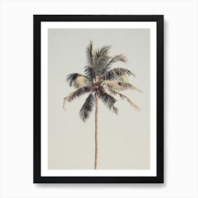 Palm Tree 1 Art Print
