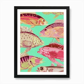 Colorful Fishes Art Print