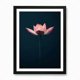 Lotus Flower 12 Art Print