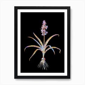 Stained Glass Scilla Patula Mosaic Botanical Illustration on Black Art Print