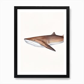 Epaulette Shark 3 Watercolour Art Print