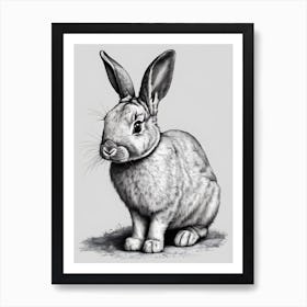 Rabbit Art Print