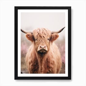 Pink Photography Style Of Highland Cow In The Rain 2 Art Print