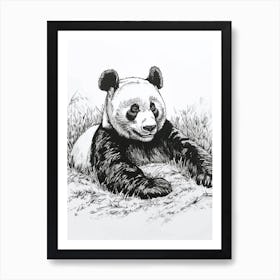 Giant Panda Resting In A Field Ink Illustration 1 Art Print