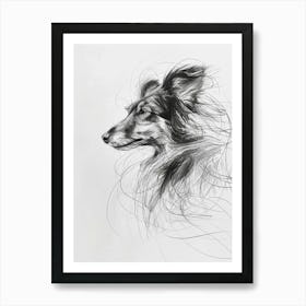 Miniature American Shepherd Dog Charcoal Line 1 Art Print