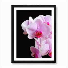 Blooming Orchid Close up // Nature & Flower Photography Art Print