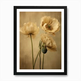 Poppies 24 Art Print