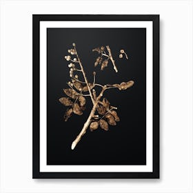 Gold Botanical Pistachio on Wrought Iron Black Art Print