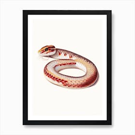 Corn Snake Vintage Art Print