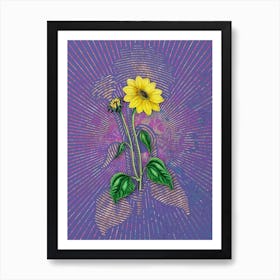 Vintage Trumpet Stalked Sunflower Botanical Illustration on Veri Peri n.0397 Art Print