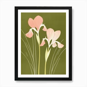 Pink & Green Iris 2 Art Print