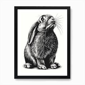 French Lop Blockprint Rabbit Illustration 5 Art Print