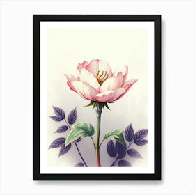 Pink Rose Art Print