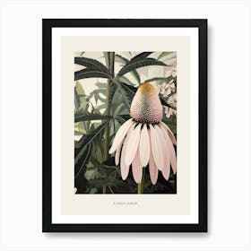 Flower Illustration Coneflower 1 Poster Art Print