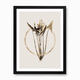 Gold Ring Arrowhead Glitter Botanical Illustration n.0159 Art Print