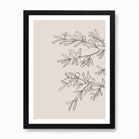 Mid Summer Olive Branch 02 Art Print