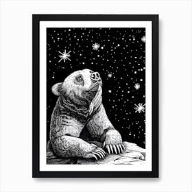 Malayan Sun Bear Looking At A Starry Sky Ink Illustration 4 Art Print