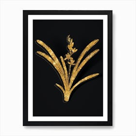 Vintage Boat Orchid Botanical in Gold on Black Art Print