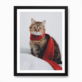 Cat Wearing A Scarf Art Print
