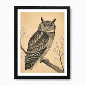 Burmese Fish Owl Vintage Illustration 3 Art Print
