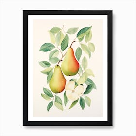 Pears And Apples Art Print