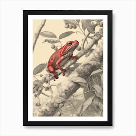 Red Tree Frog Vintage Botanical 7 Art Print