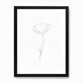 Poppy Flower Sketch Art Print