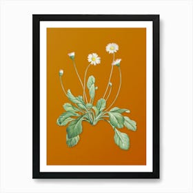 Vintage Daisy Flowers Botanical on Sunset Orange n.0914 Art Print