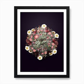 Vintage Pink Alpine Rose Flower Wreath on Royal Purple n.2053 Art Print