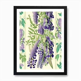 Wisteria Floral 2 Botanical Vintage Poster Flower Art Print