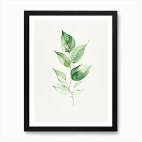 Basil Leaf Minimalist Watercolour 2 Art Print