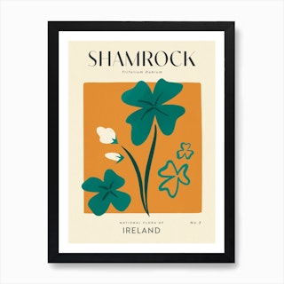 Vintage Orange And Green Shamrock Clover Of Ireland Art Print