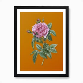 Vintage Pink French Rose Botanical on Sunset Orange Art Print
