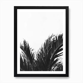 Palm Tree In The Sky Art Print