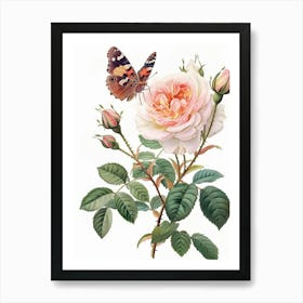 English Roses Painting Rose With Butterfly 4 Art Print