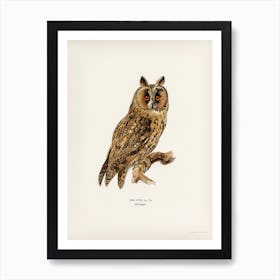 Asio Otus Owl, The Von Wright Brothers Art Print