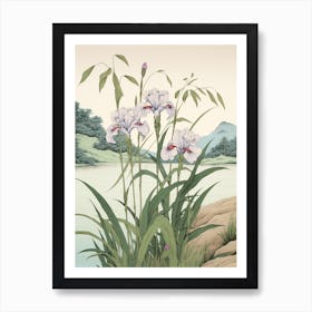 Hanashobu Japanese Water Iris 2 Vintage Japanese Botanical Art Print