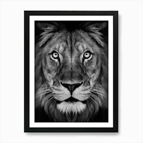 Lion Face Art Print