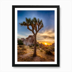 Charming Sunset At Joshua Tree National Park Art Print