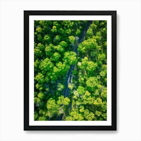 Aerial View Of A Forest 2 Art Print