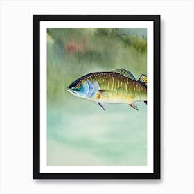 Barracuda Storybook Watercolour Art Print