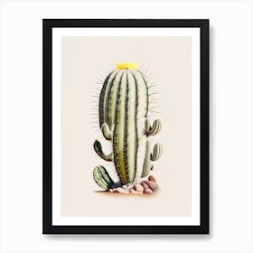 Melocactus Cactus Marker Art 1 Art Print