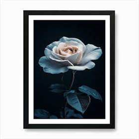 White Rose 6 Art Print