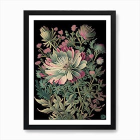 Aster 3 Floral Botanical Vintage Poster Flower Art Print