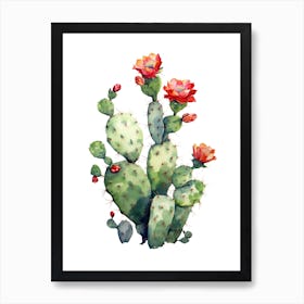 Opuntia Fragilis Cactus Watercolour Drawing 2 Art Print